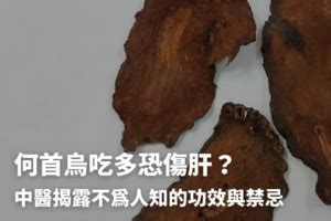 制何首烏粉|何首烏秋冬進補怎麼吃？醫列功效禁忌＋何首烏藥膳做。